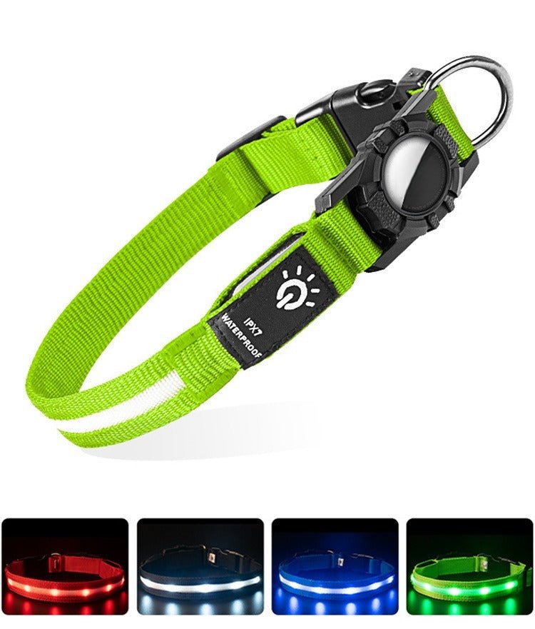 Collier GPS chien | TrackPet - Le Chihuahua Voyageur