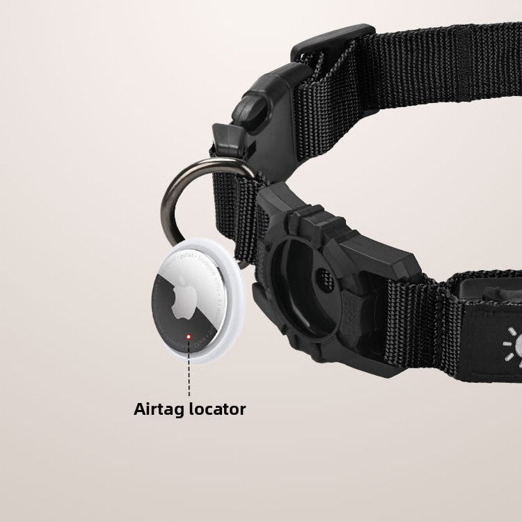 Collier GPS chien | TrackPet - Le Chihuahua Voyageur