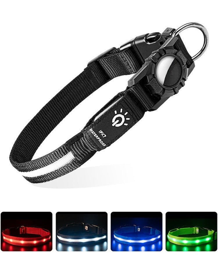 Collier GPS chien | TrackPet - Le Chihuahua Voyageur