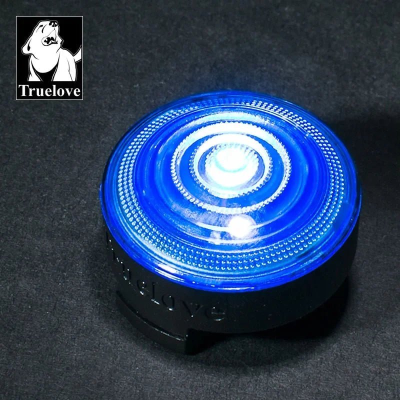 Collier lumineux pour chien - Truelove Safety LED Light - Le Chihuahua Voyageur