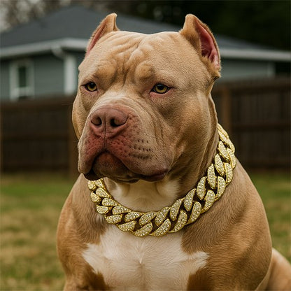 Collier pour Chien massif or