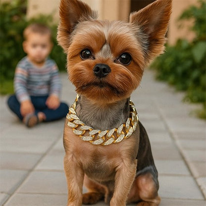 Collier pour Chien yorkshire