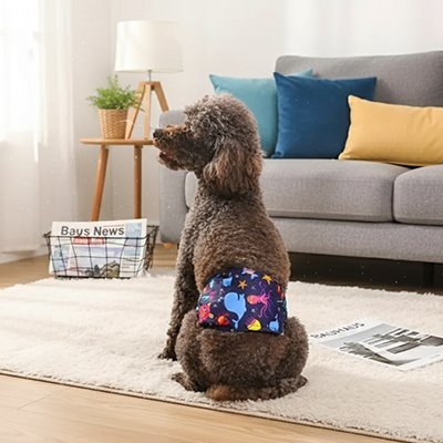 Couche chien | Lavable et Confortable - Le Chihuahua Voyageur