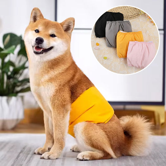 Couche chien-bandeaux urine