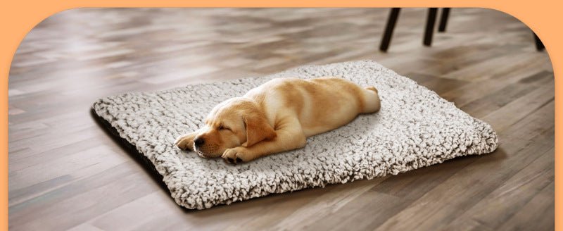 Coussin auto chauffant pour chien - Le Chihuahua Voyageur