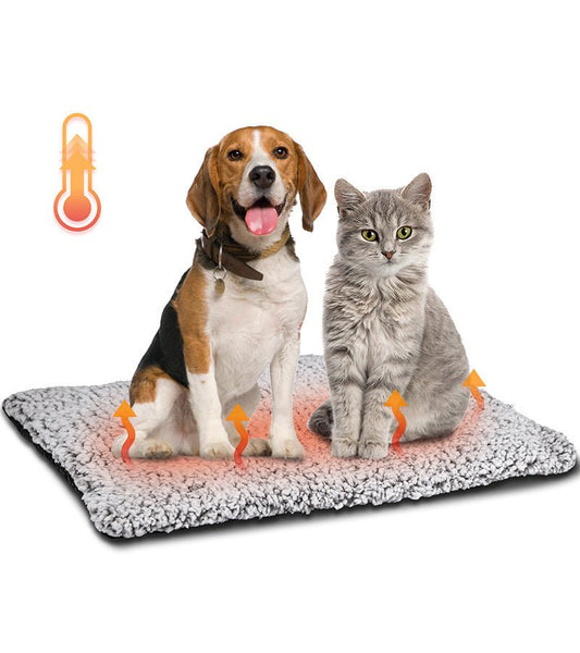Coussin auto chauffant pour chien - Le Chihuahua Voyageur