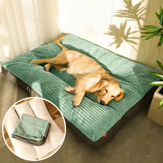 coussin-chien-housse