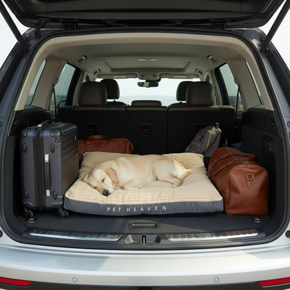 Lit de camp chien- Coussin PET HEAVEN