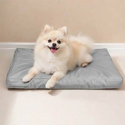 Coussin pour Chien Orthopédique | ComfortPlus - Le Chihuahua Voyageur