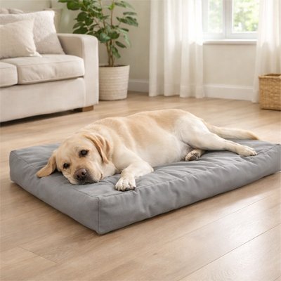 Coussin pour Chien Orthopédique | ComfortPlus - Le Chihuahua Voyageur