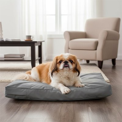 Coussin pour Chien Orthopédique | ComfortPlus - Le Chihuahua Voyageur