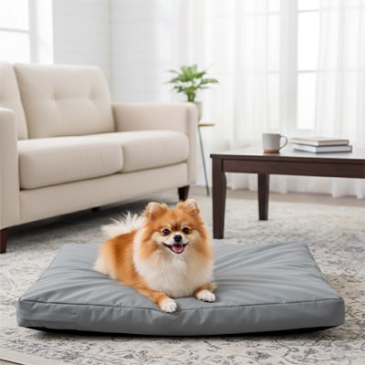 Coussin pour Chien Orthopédique | ComfortPlus - Le Chihuahua Voyageur