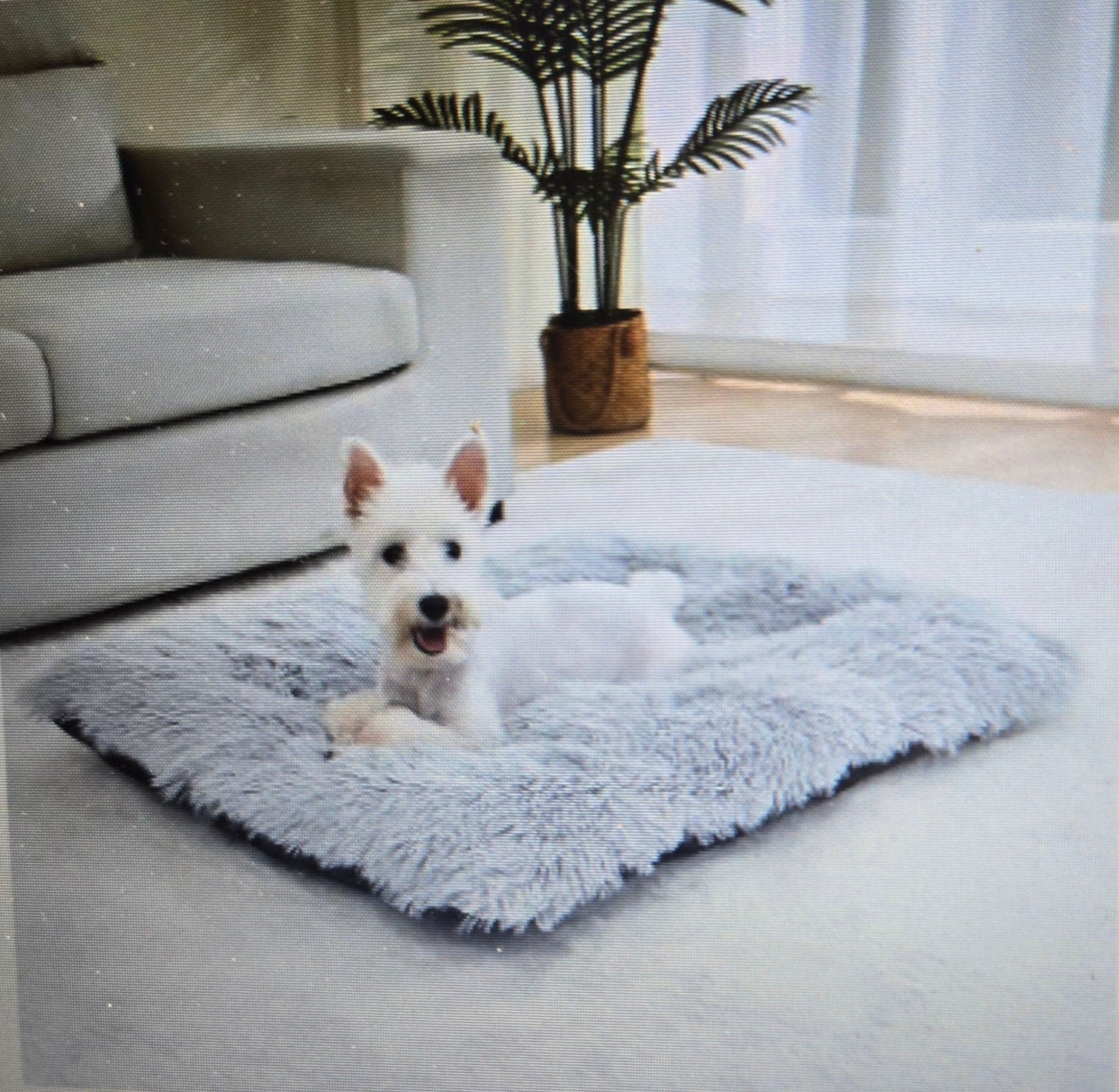 Coussin pour chien - Tapis douillet - Le Chihuahua Voyageur