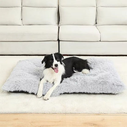 Coussin pour chien - Tapis douillet - Le Chihuahua Voyageur
