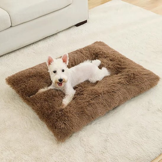 Coussin pour chien - Tapis douillet - Le Chihuahua Voyageur