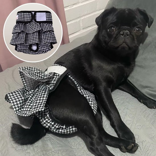 Culotte chien | Lavable Confort - Le Chihuahua Voyageur