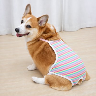 Culotte pour chien 
