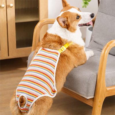 Culotte pour chien 