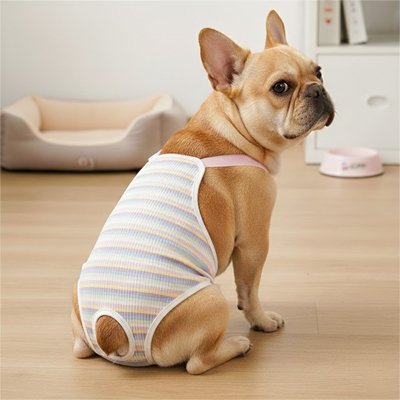 Culotte pour chien 
