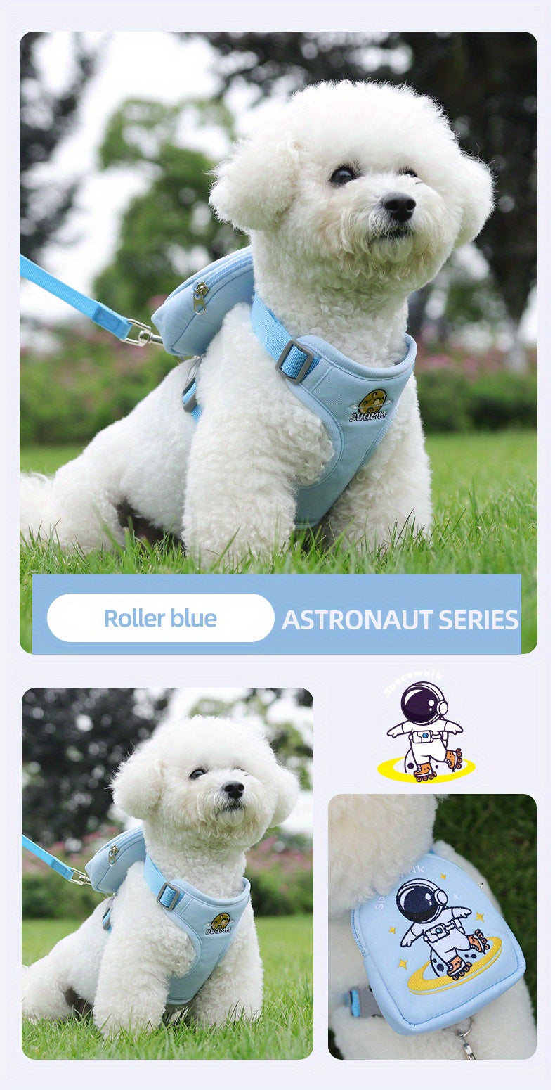 Laisse pour chien - Football in Space