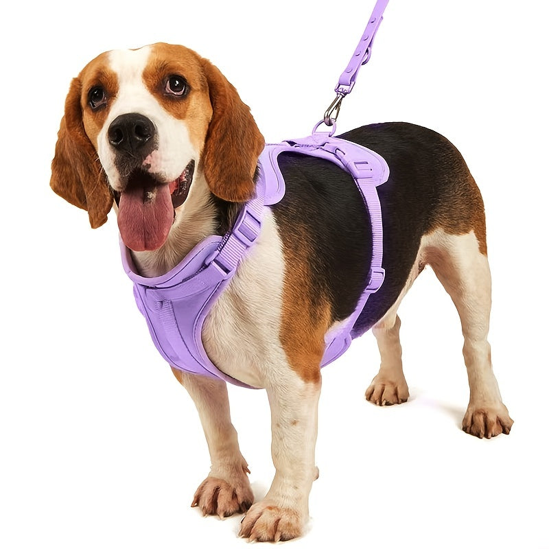 Harnais chien- Ensemble Laisse- Harnais Waterproof