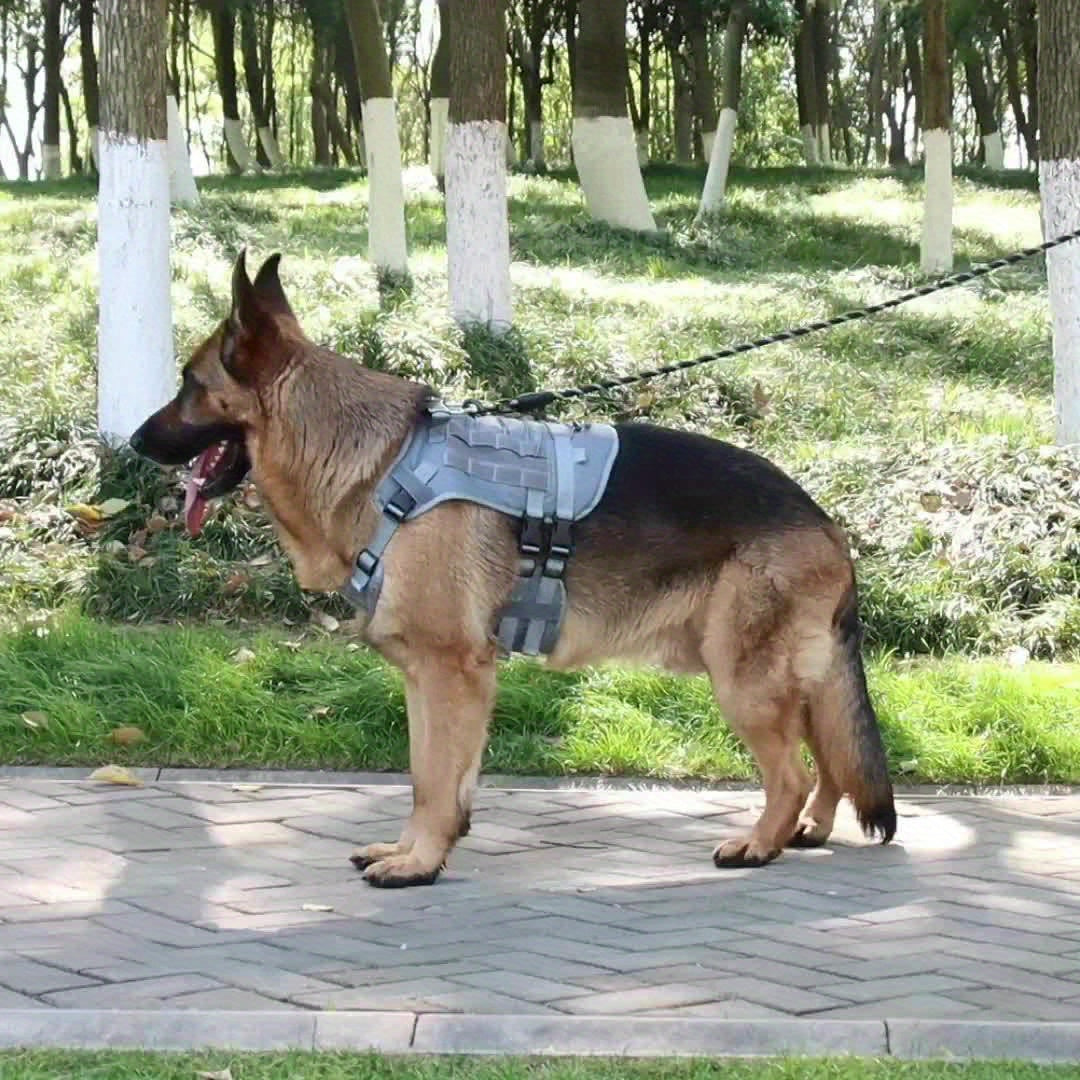 harnais anti traction chien- Explosion-proof Impact Dog Tactical