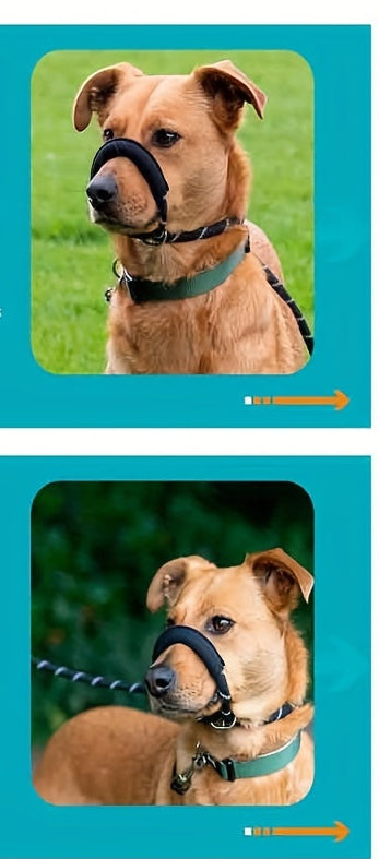 Muselière Anti-Traction | ComfortWalk