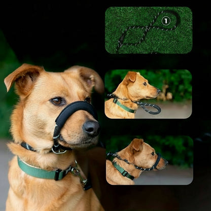 Muselière Anti-Traction | ComfortWalk