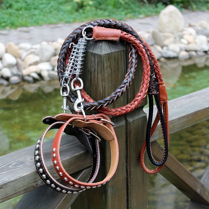 Laisse pour chien- Strong Cowhide Dog Leash and Collar