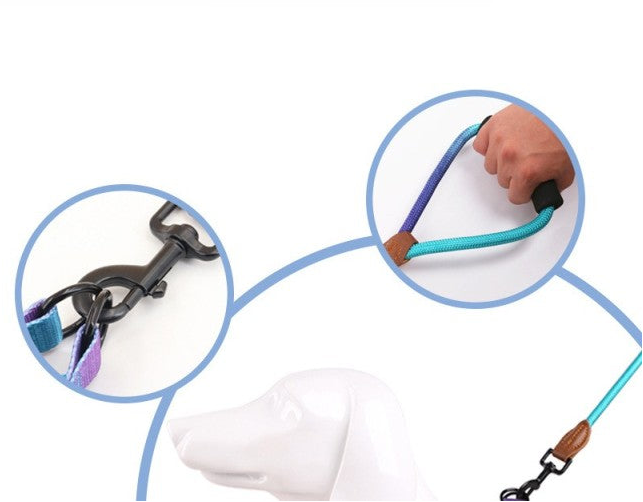 Harnais pour chien | DUO RobuConfort