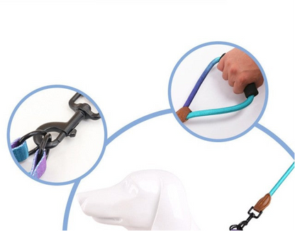Harnais pour chien | DUO RobuConfort