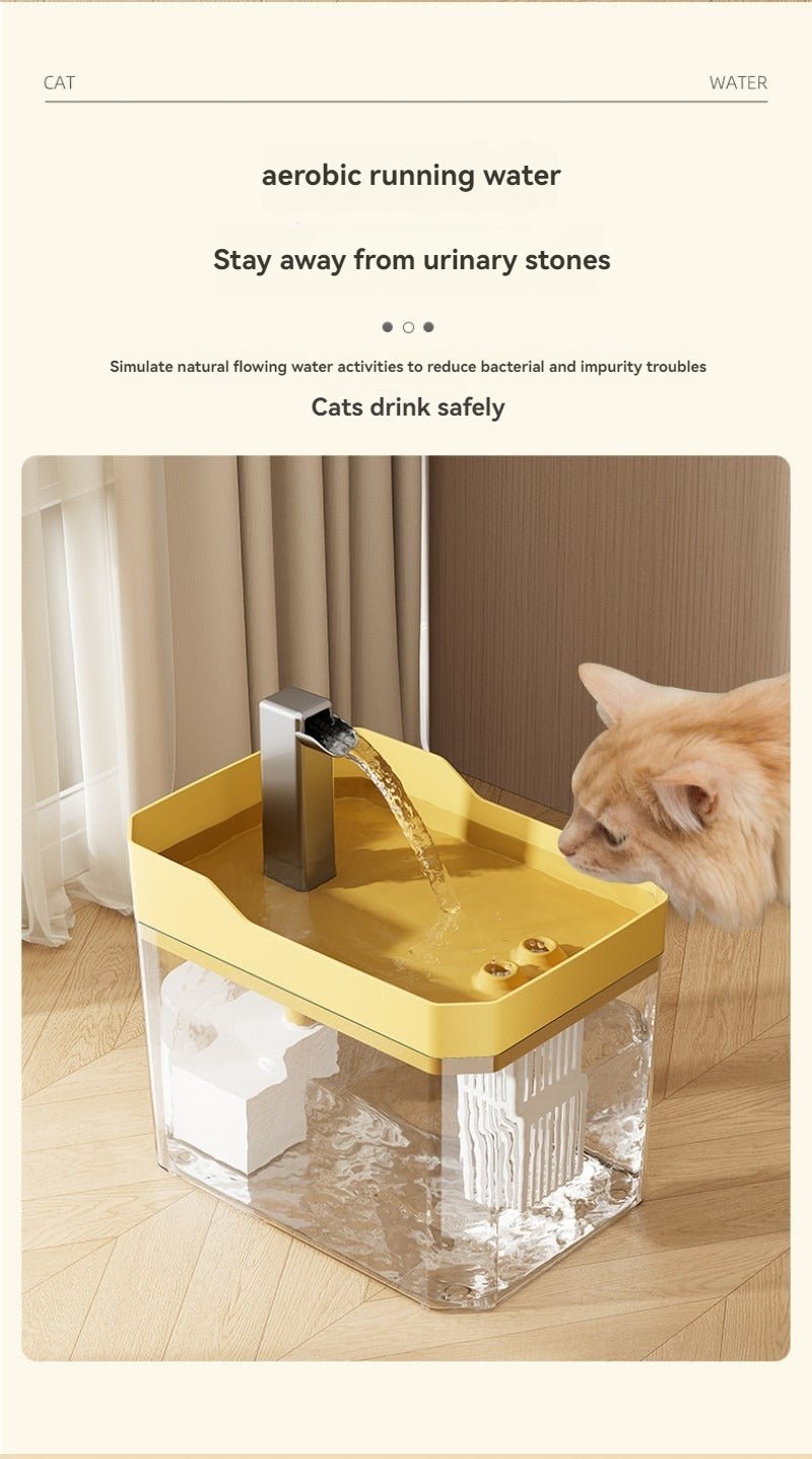 Distributeur d'eau automatique - Le Chihuahua Voyageur