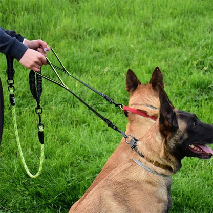 Double laisse pour chien | Anti-emmêlement - Le Chihuahua Voyageur
