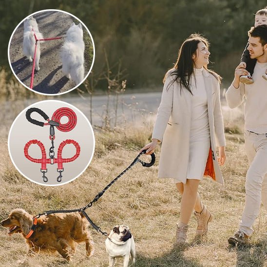 Double laisse pour chien - No Tangle Double - Le Chihuahua Voyageur