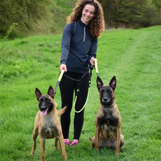 Double laisse pour chien