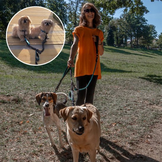 Double laisse pour chien