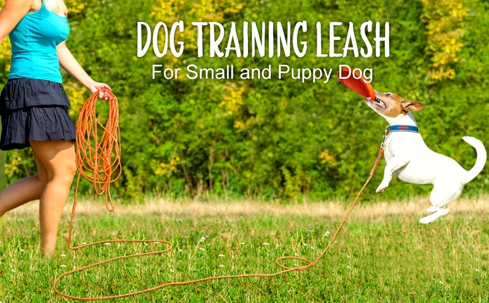 Longe pour chien- Reflective Long Polyamide