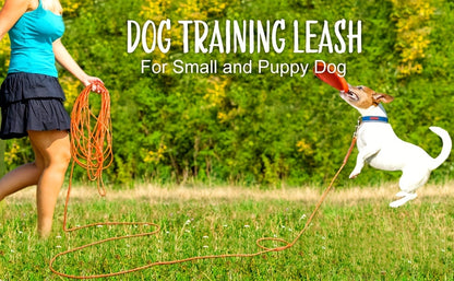 Longe pour chien- Reflective Long Polyamide