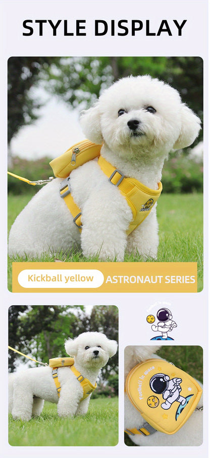 Laisse pour chien - Football in Space