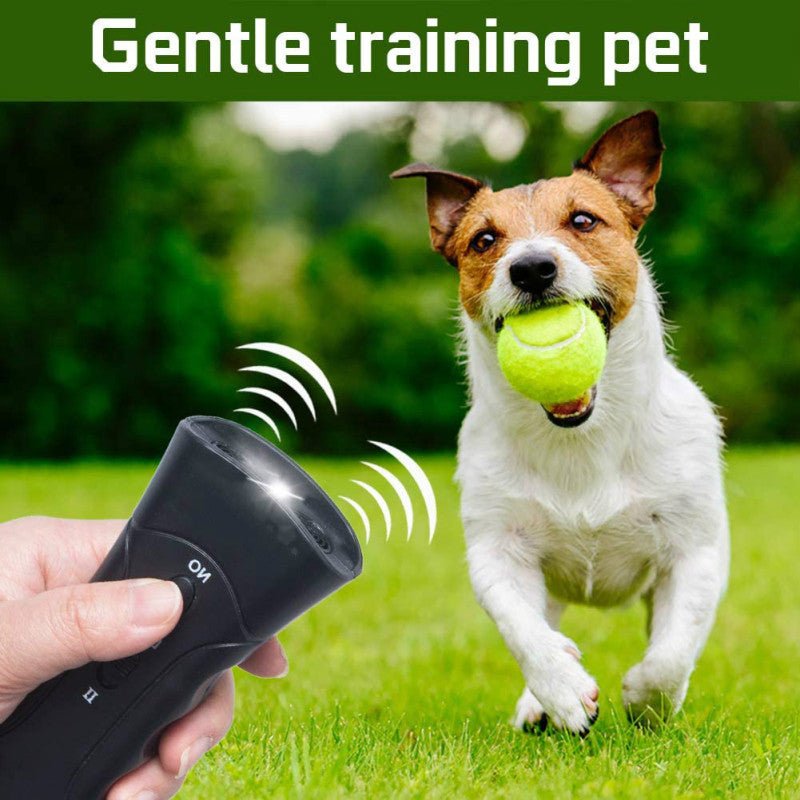 Équipement de dressage pour chiens à double tête anti - aboiement - Le Chihuahua Voyageur
