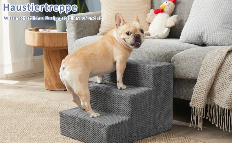 Escaliers pour chien - Velours - Le Chihuahua Voyageur