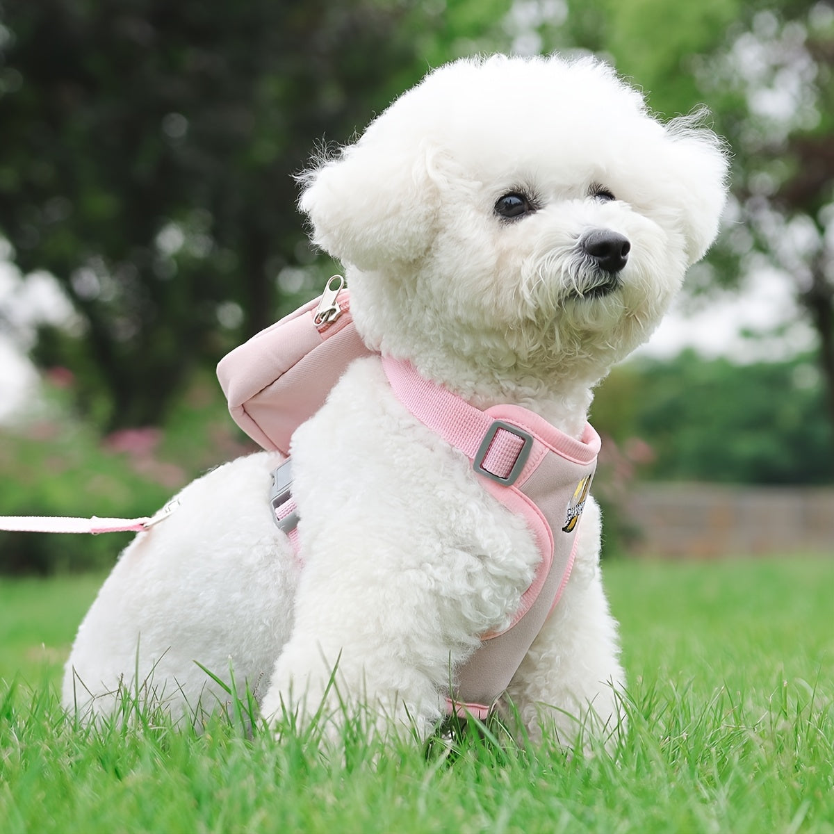 Laisse pour chien - Football in Space