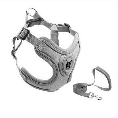 Laisse de chien- Bulldog Laisse- Harnais pour chien