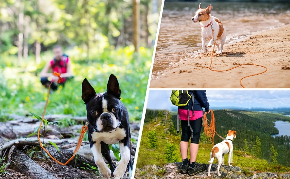 Longe pour chien- Reflective Long Polyamide