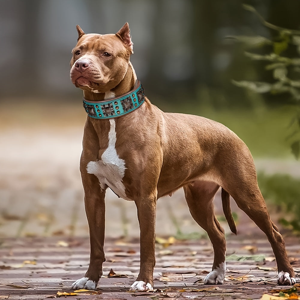 Collier cuir chien- studded leather collar