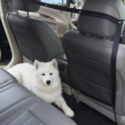 Filet pour chien pour voiture | SecuriDrive - Le Chihuahua Voyageur
