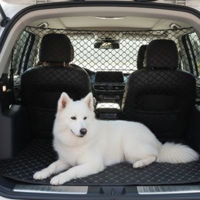 Filet voiture chien | SecuTravel - Le Chihuahua Voyageur