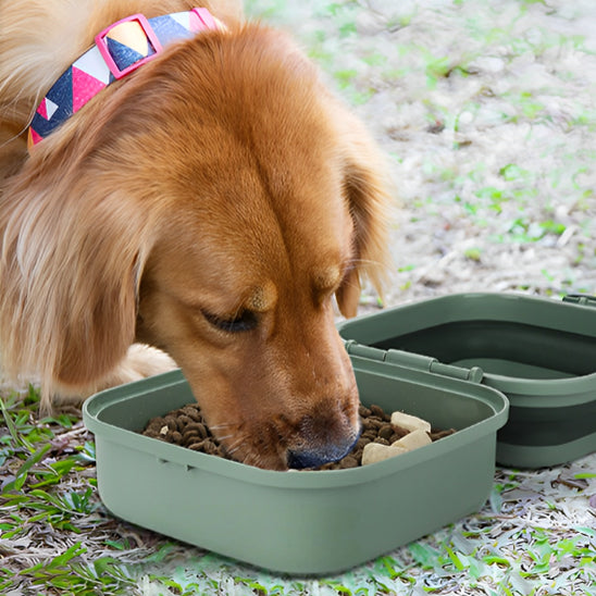 Gamelle chien - Portable pliable