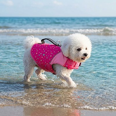 Gilet de sauvetage Chien | Flottabilité Optimale - Le Chihuahua Voyageur