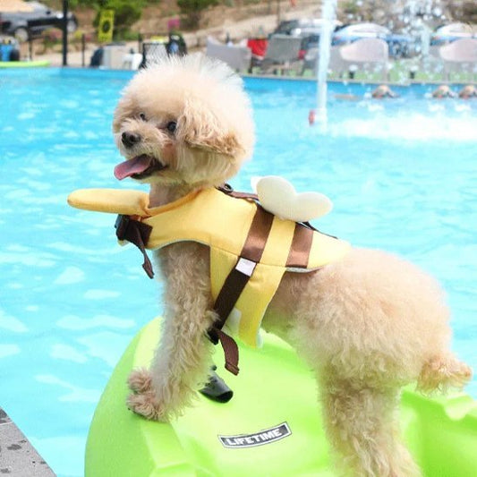 Gilet de sauvetage chien | Flottabilité optimale - Le Chihuahua Voyageur